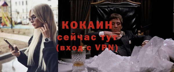 не бодяженный Бородино