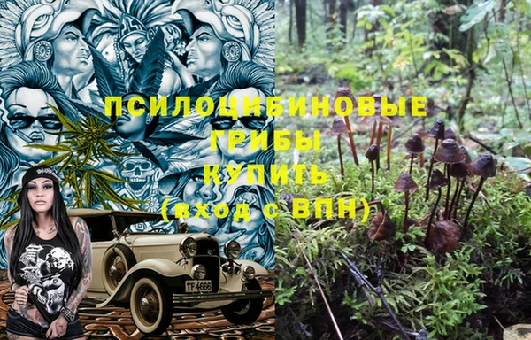 трава Бронницы