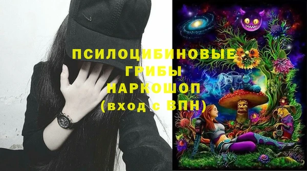 не бодяженный Бородино