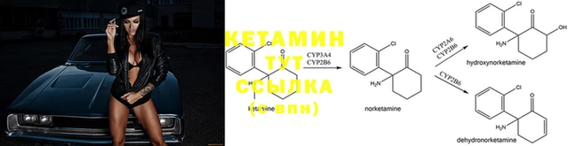 трава Бронницы