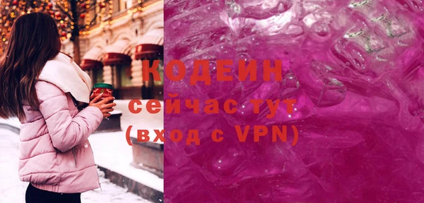 хмурый Верея