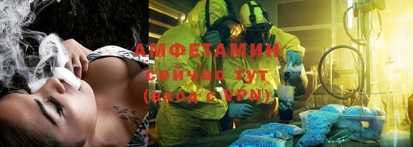 не бодяженный Бородино