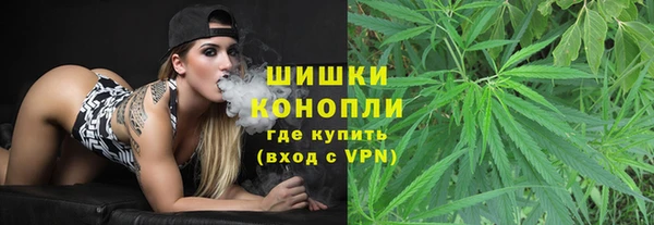 хмурый Верея